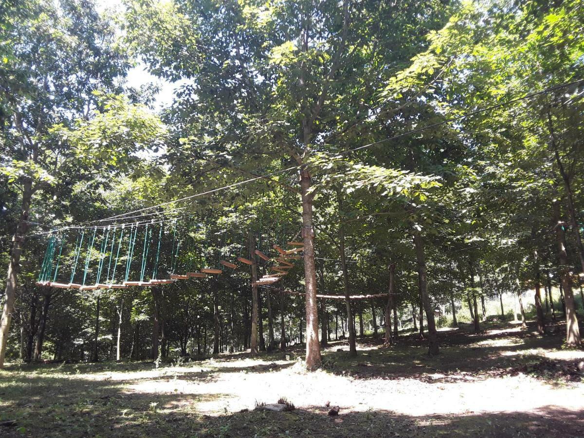 Albergue Mandoia Aterpetxea Arantzazu Екстериор снимка